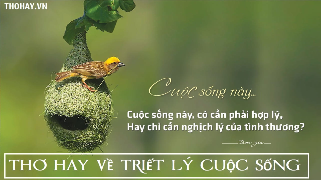 Thơ Về Triết Lý Cuộc Sống Hay