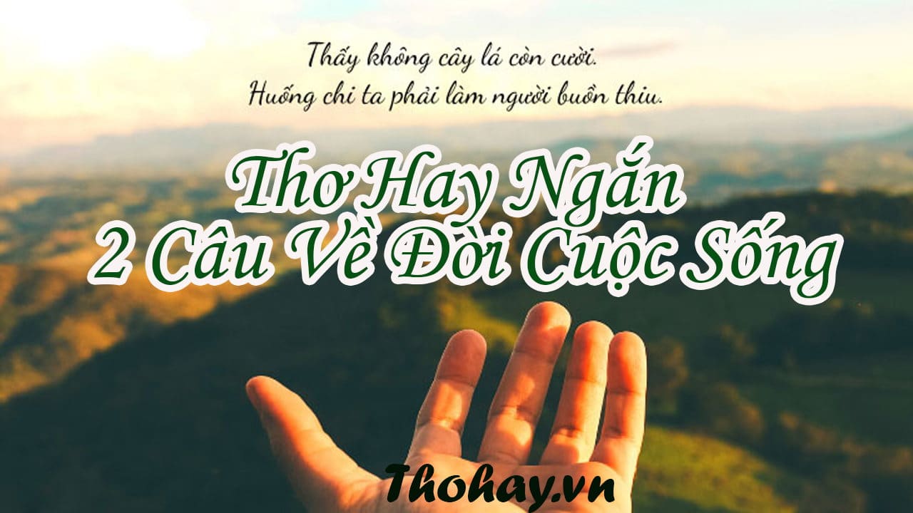 Tuyển chọn những bài thơ phong cảnh buồn hay nhất về cảnh đẹp nhưng đầy bất hạnh