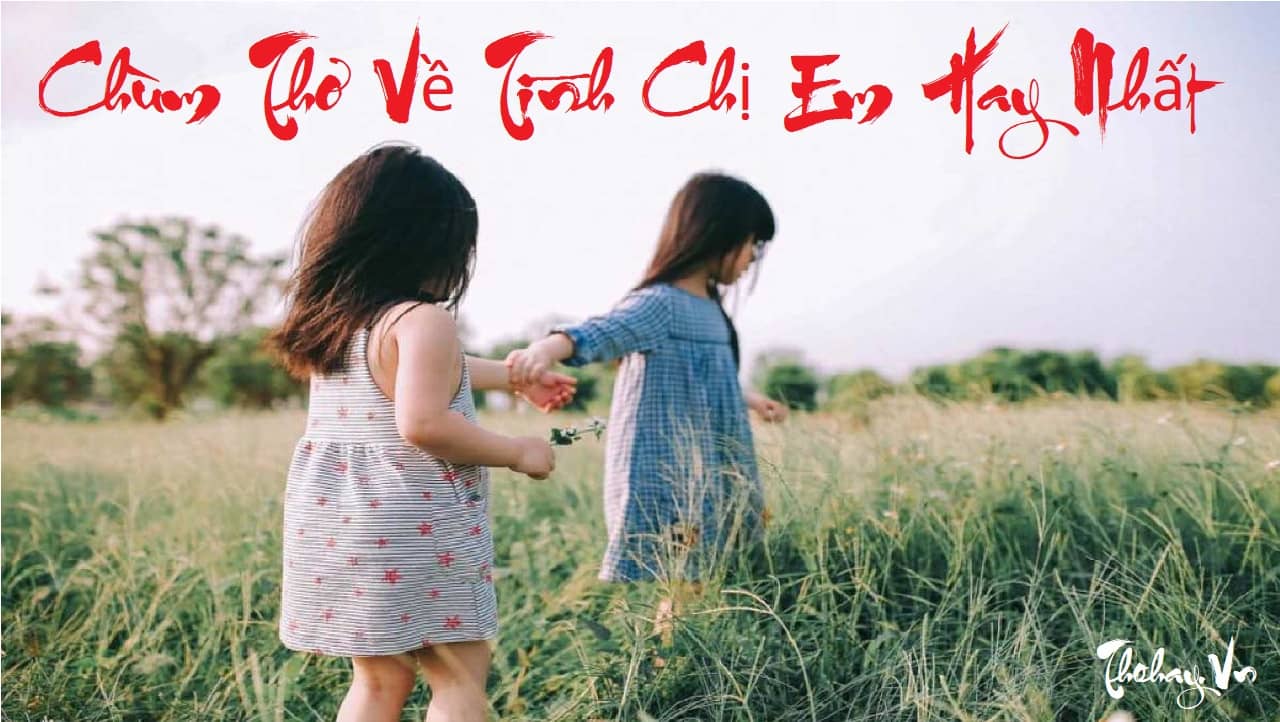 35+ bài Thơ Về Tình Chị Em Kết Nghĩa, Chị Em Ruột HAY