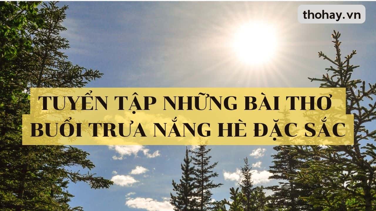 Thơ Buổi Trưa Nắng, Trưa Hè, Chúc Buổi Trưa Hay ️️50+ Bài