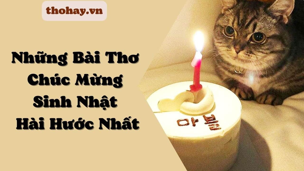 1000 Ảnh chúc mừng sinh nhật đẹp hài hước và dễ thương dành cho bạn bè   EUVietnam Business Network EVBN