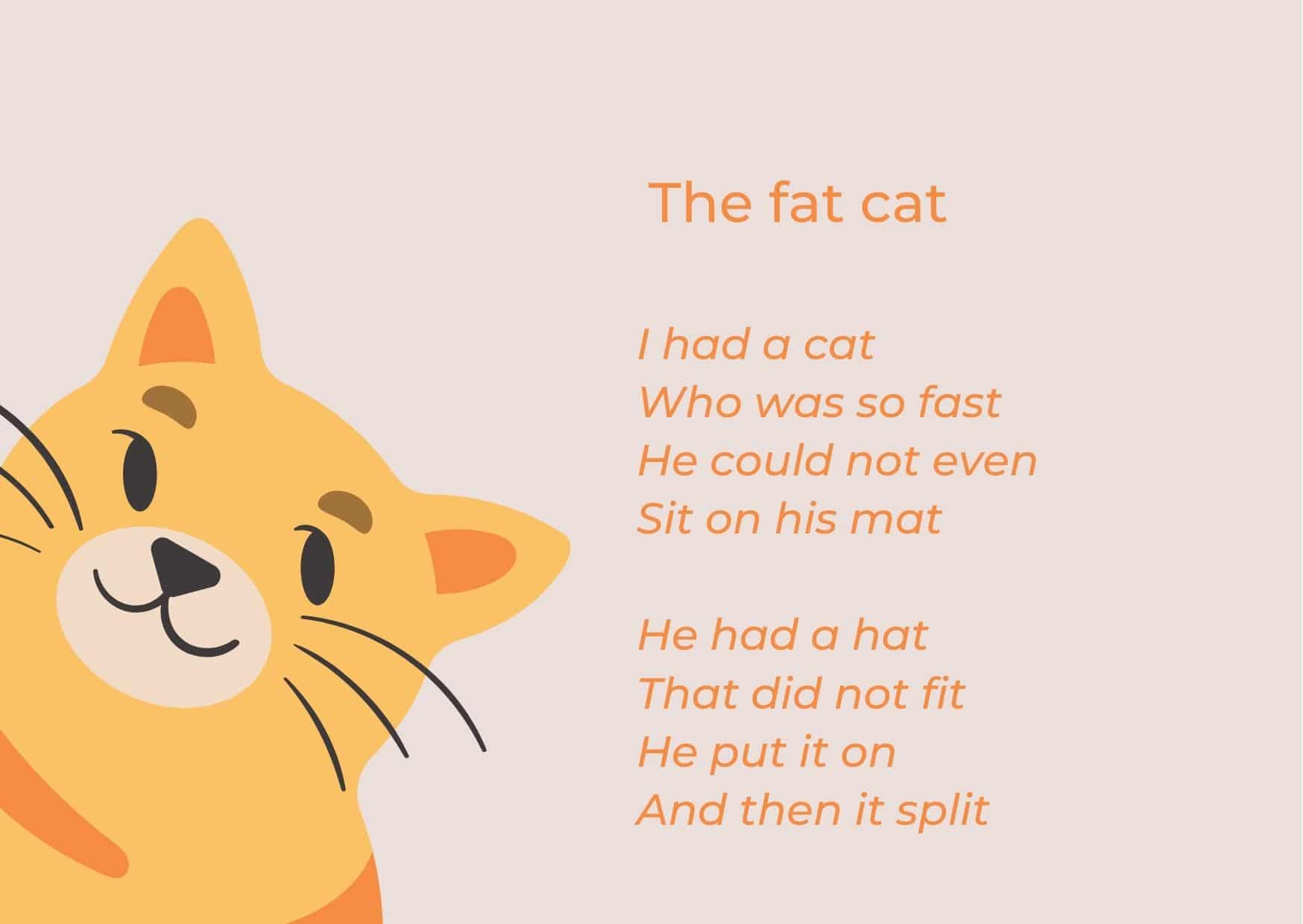 Bài thơ The fat cat