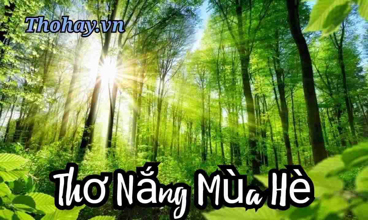 Bài Thơ Nắng Mùa Hè ❤ Nội Dung, Hình Ảnh, Giáo Án A-Z