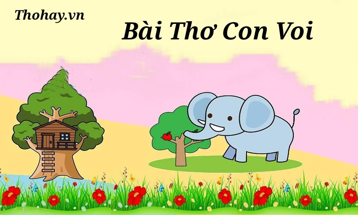 Chia sẻ 86+ hình ảnh voi con hay nhất - thtantai2.edu.vn