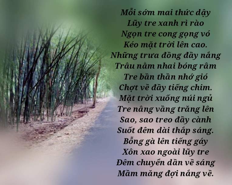 Bài Thơ Lũy Tre ️️ Nội Dung, Hình Ảnh, Giáo Án Trọn Bộ
