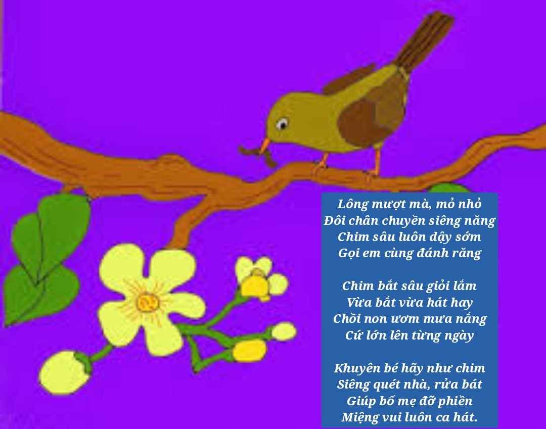 Lời thơ hay nhất chú chim sâu