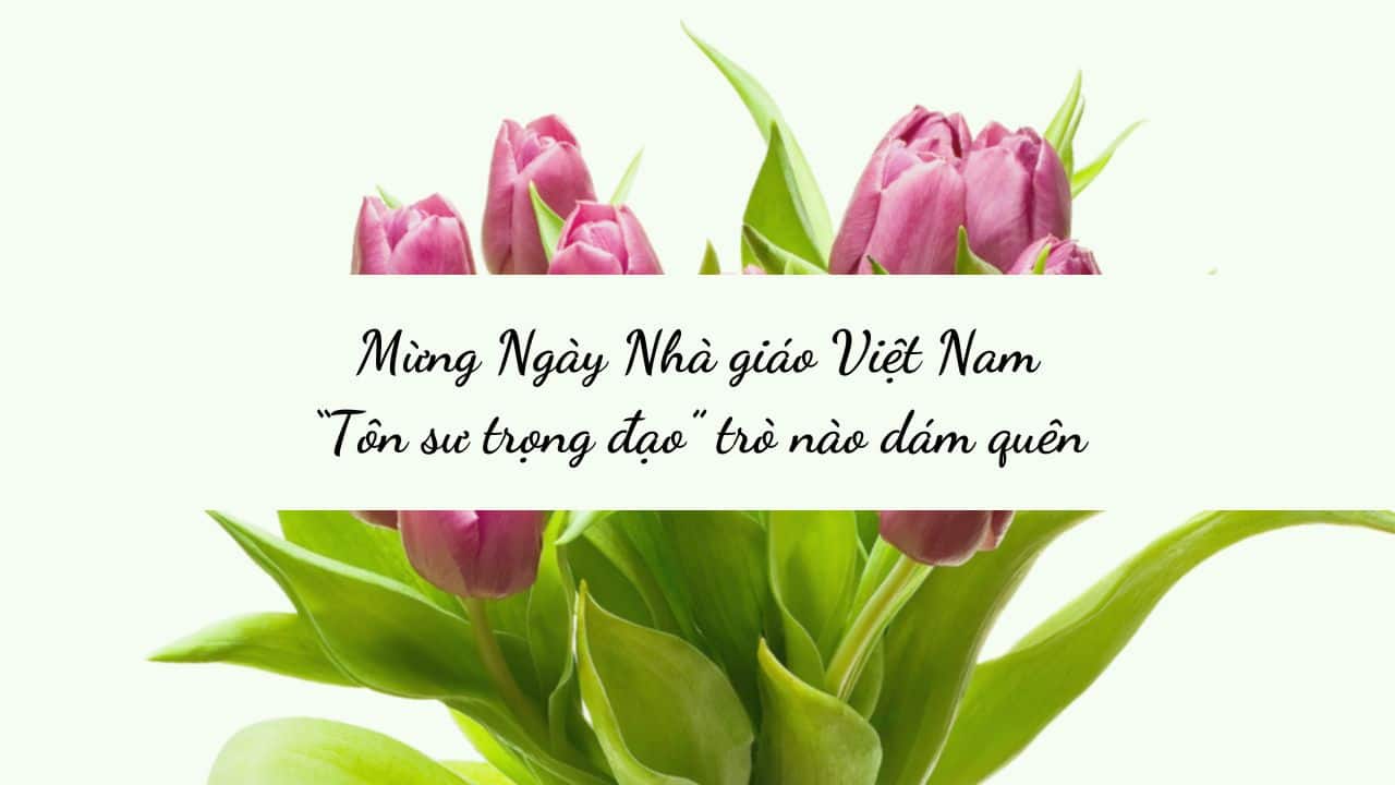 Mừng Ngày Nhà giáo Việt Nam “Tôn sư trọng đạo” trò nào dám quên