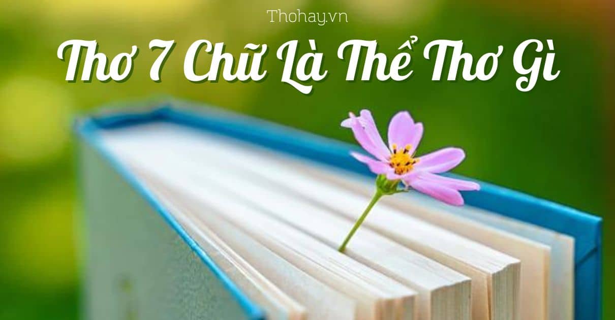 Cách làm thơ 7 chữ đối vần, đối câu như thế nào?
