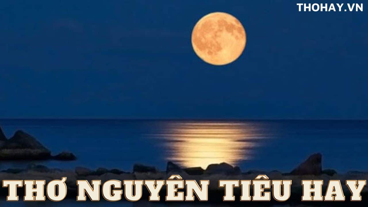 thơ nguyên tiêu hay