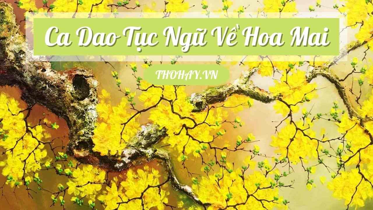 Ca dao tục ngữ là những câu nói tục ngữ có sức ảnh hưởng lớn trong tình cảm con người. Nếu bạn muốn hiểu sâu thêm về truyền thống và tâm hồn Việt, hãy nghe và suy ngẫm các câu ca dao tục ngữ cổ xưa.