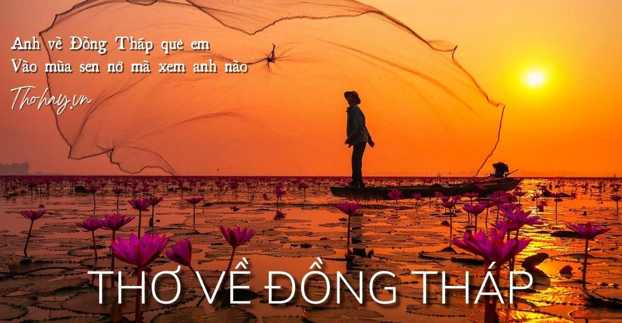 Đồng Tháp là một trong những tỉnh miền tây sông nước của Việt Nam, với vẻ đẹp đặc trưng của vùng đồng bằng sông Cửu Long. Hãy khám phá sự đa dạng, phong phú của văn hóa và ẩm thực của Đồng Tháp trong hình ảnh.
