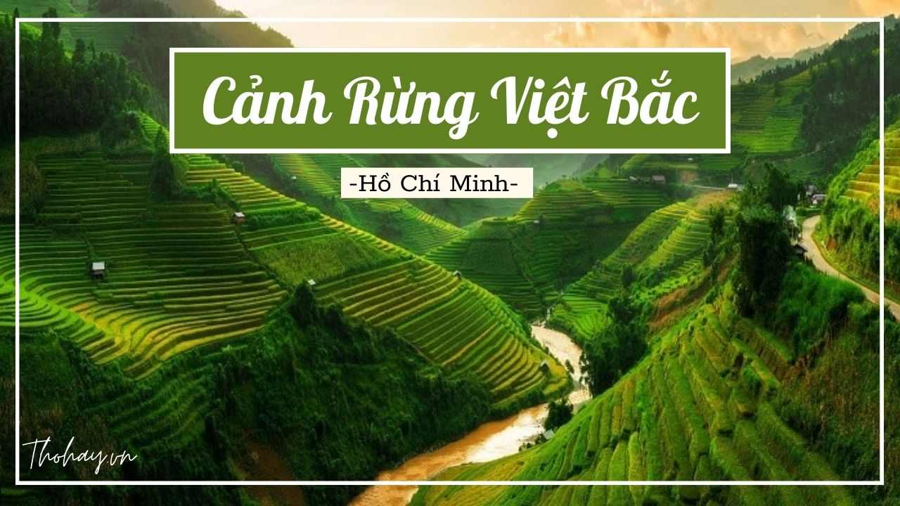 Bài Thơ Cảnh Rừng Việt Bắc