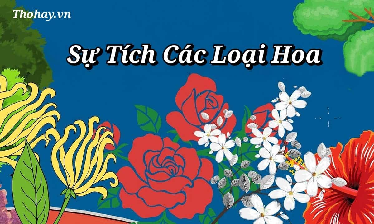 Câu chuyện sự tích các loài hoa