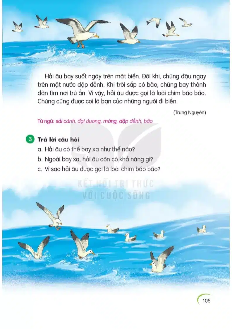 Bài đọc loài chim của biển cả lớp 1