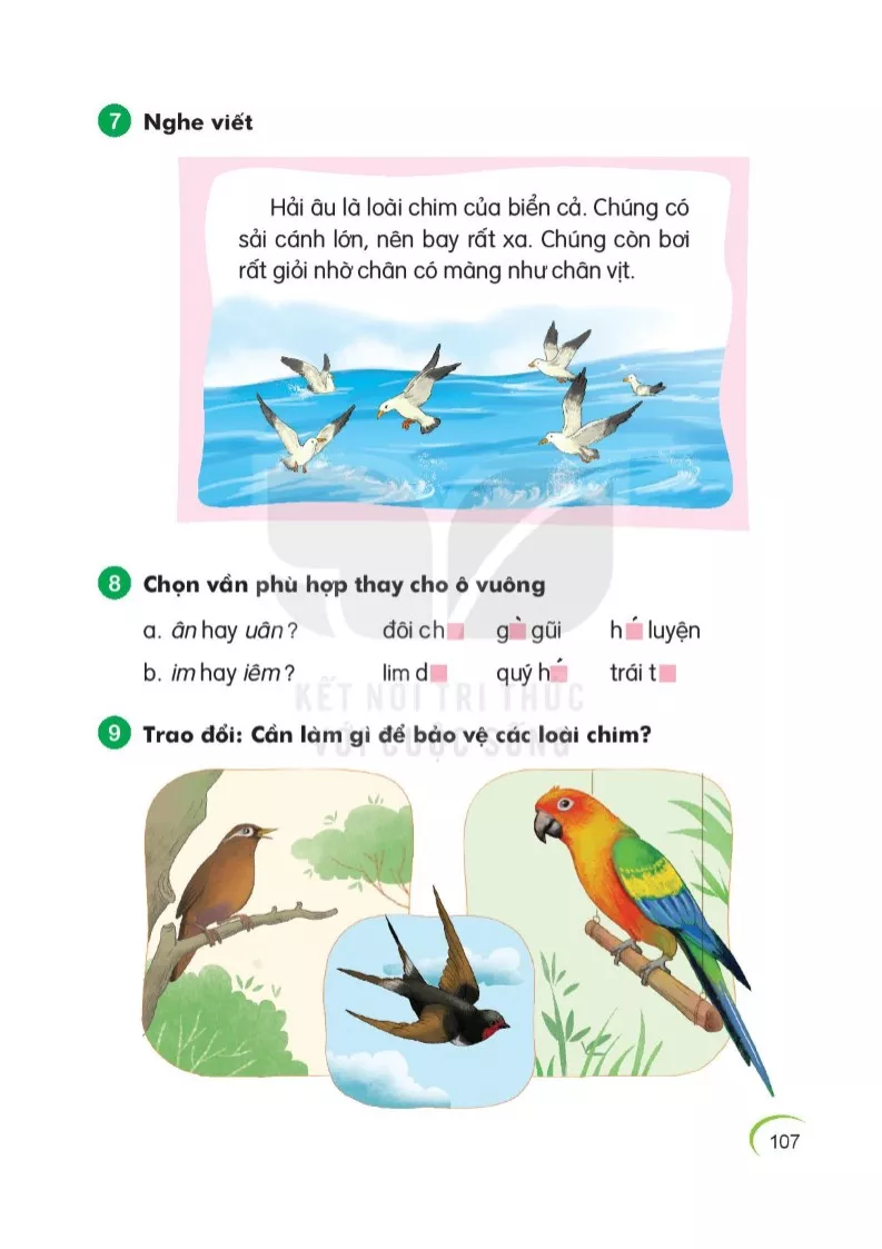 Bài tập loài chim của biển cả