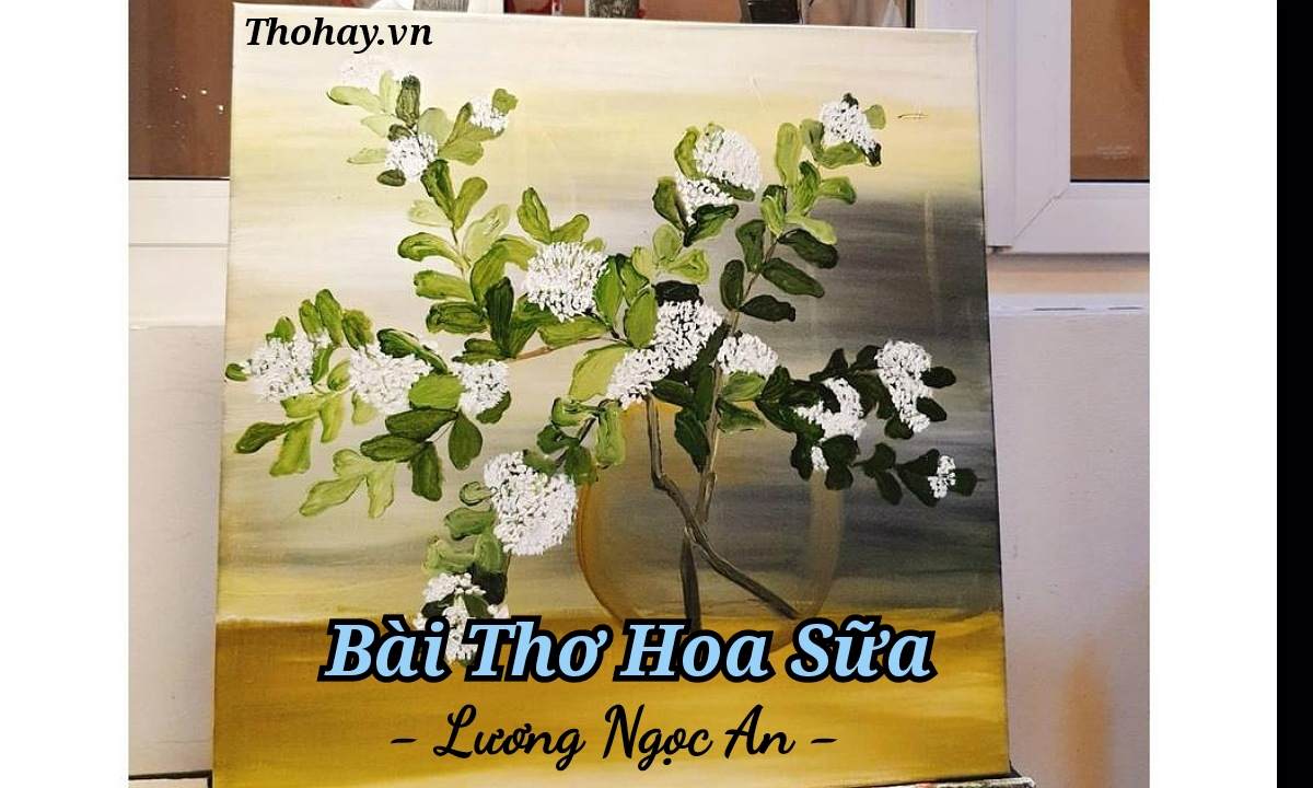 Bài thơ hoa sữa