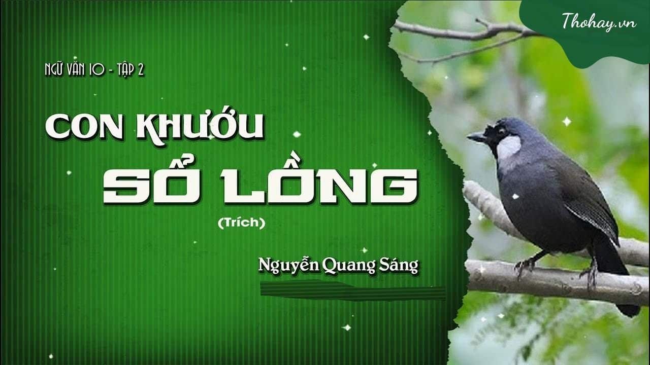 Con Khướu Sổ Lồng