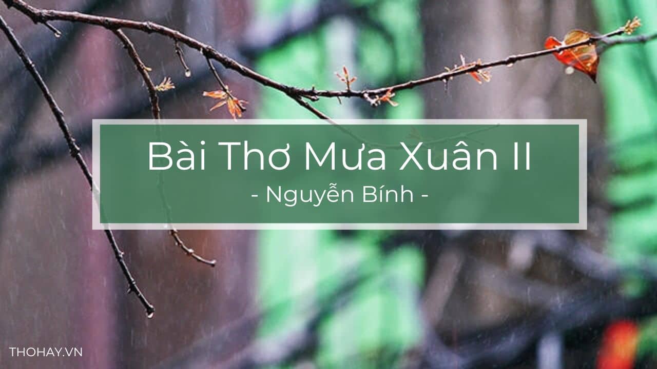 Mưa Xuân 2 Nguyễn Bính