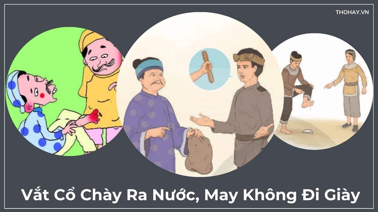 Vắt Cổ Chày Ra Nước